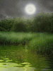 anim240320mobildesign.atw.hu_0020.gif